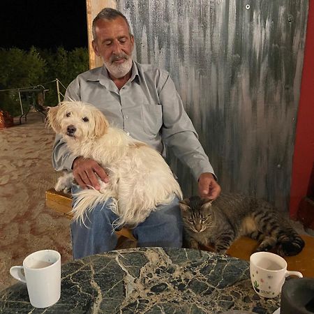 Art Studio Kefalonia Dhavgata Bagian luar foto