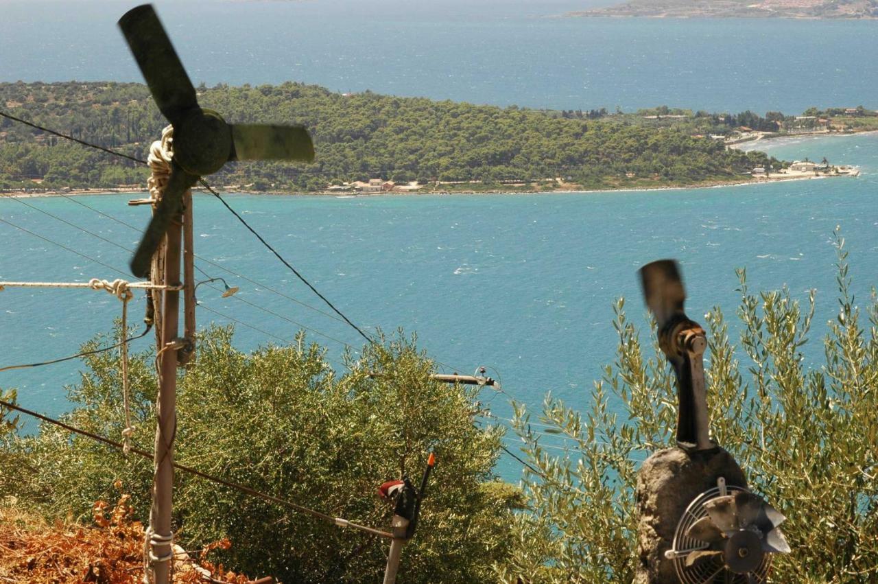 Art Studio Kefalonia Dhavgata Bagian luar foto
